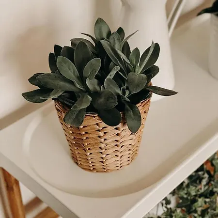 Simply Hotel Austerlitz