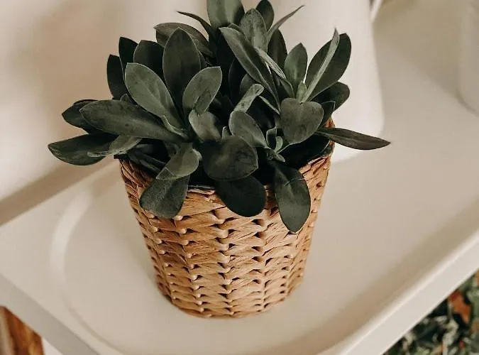 Simply Hotel Slavkov u Brna